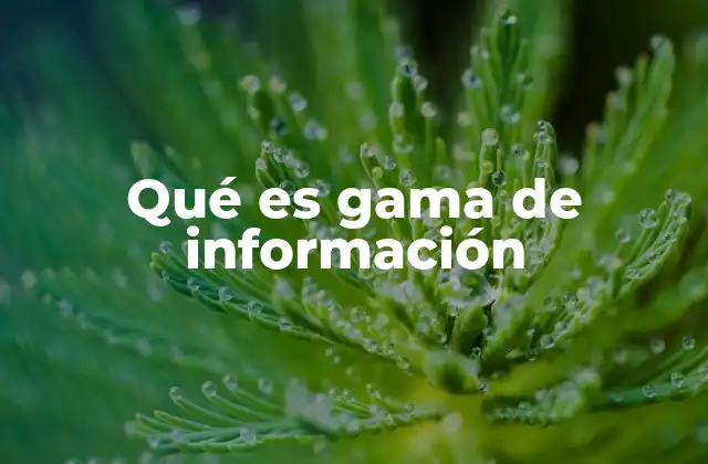 Qué es Gama de Información 2 La importancia de comprender el rango de datos en el entorno empresarial