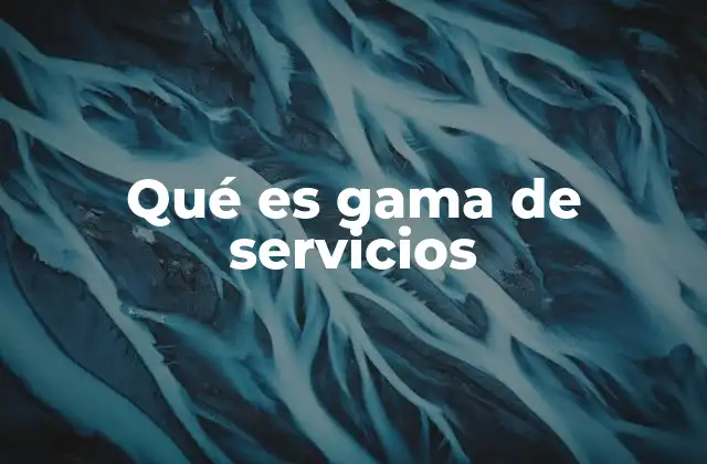Qué es Gama de Servicios