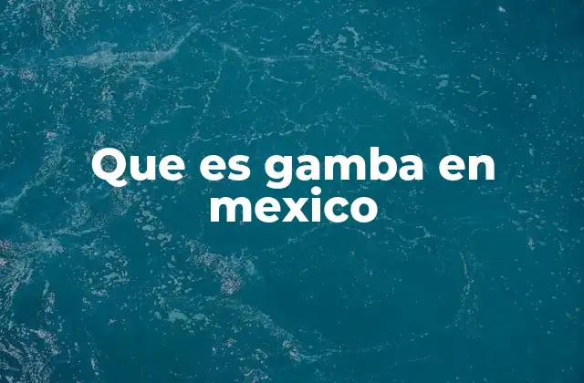 Que es Gamba en Mexico