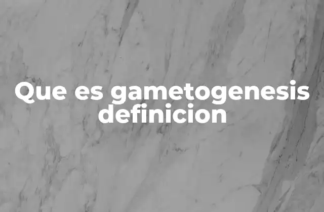 Que es Gametogenesis Definicion