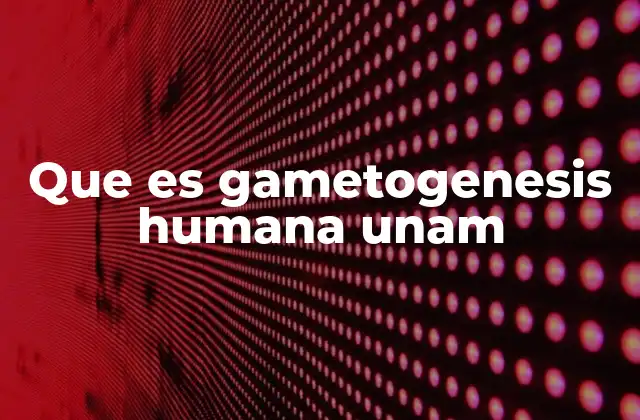 Que es Gametogenesis Humana Unam