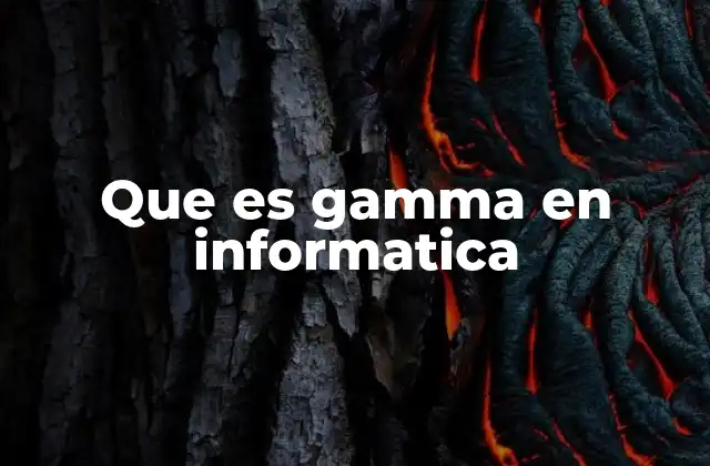 Que es Gamma en Informatica