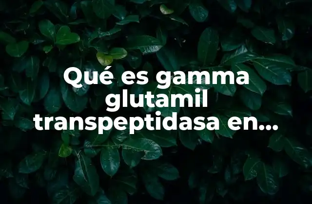 Qué es Gamma Glutamil Transpeptidasa en Análisis de Sangre