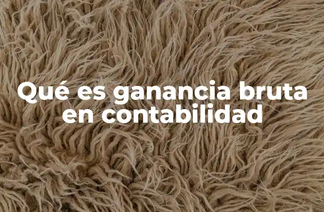 Qué es Ganancia Bruta en Contabilidad