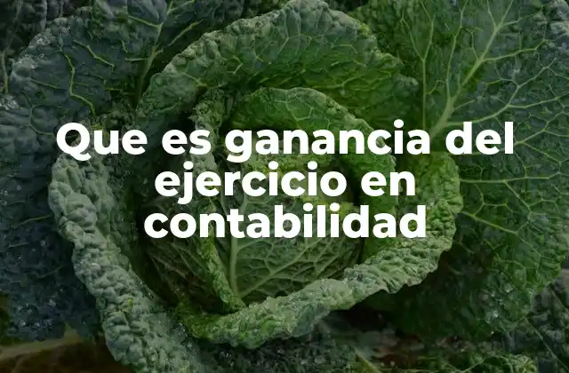 Que es Ganancia Del Ejercicio en Contabilidad