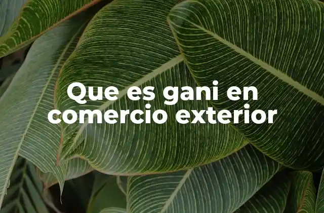 Que es Gani en Comercio Exterior