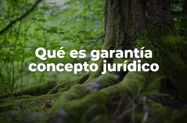 Qué es Garantía Concepto Jurídico