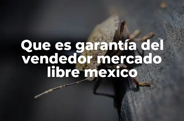 Que es Garantía Del Vendedor Mercado Libre Mexico