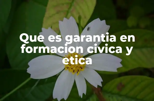 Que es Garantia en Formacion Civica y Etica