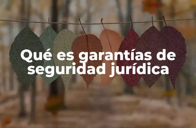 Qué es Garantías de Seguridad Jurídica