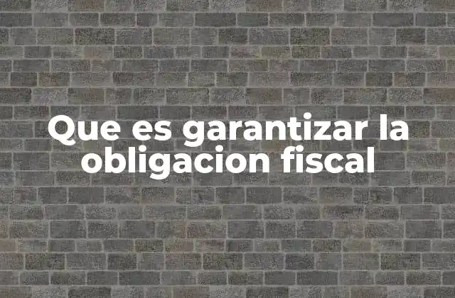 Que es Garantizar la Obligacion Fiscal