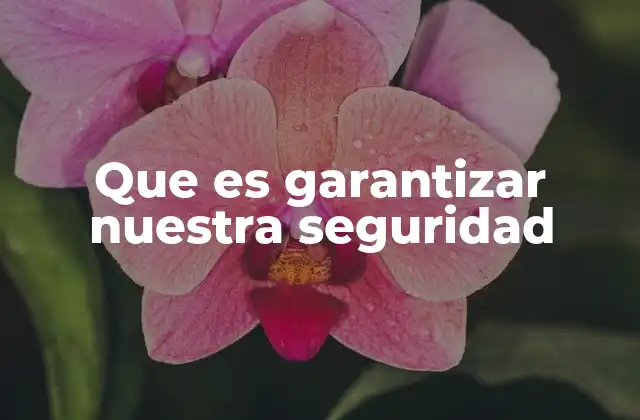 Que es Garantizar Nuestra Seguridad