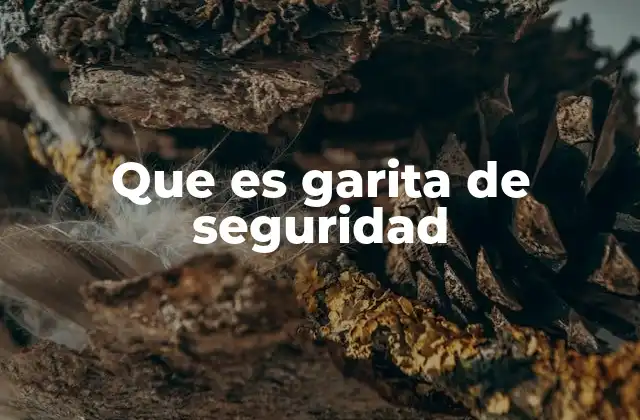 Que es Garita de Seguridad