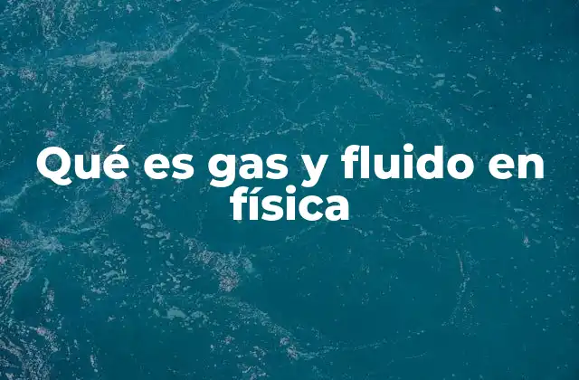 Qué es Gas y Fluido en Física