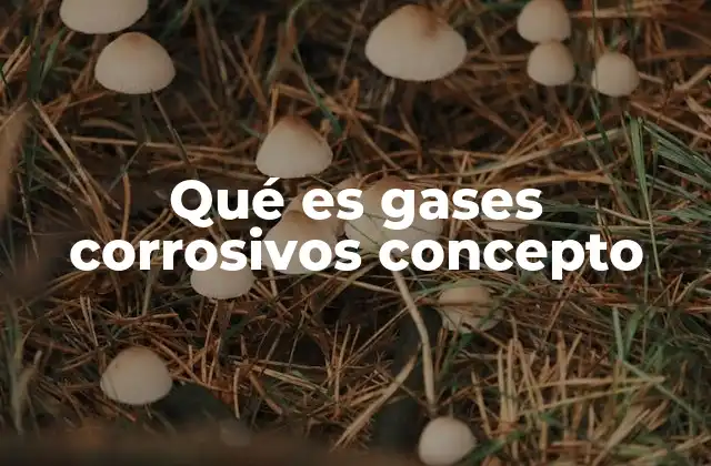 Qué es Gases Corrosivos Concepto 2 Características y comportamiento de los gases corrosivos