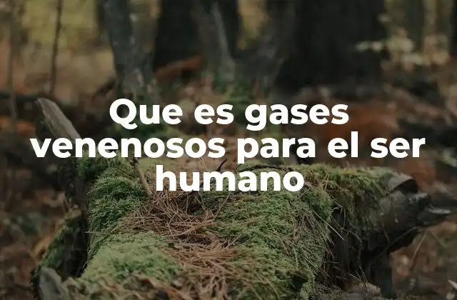 Que es Gases Venenosos para el Ser Humano