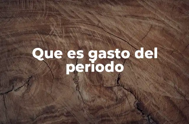 Que es Gasto Del Periodo