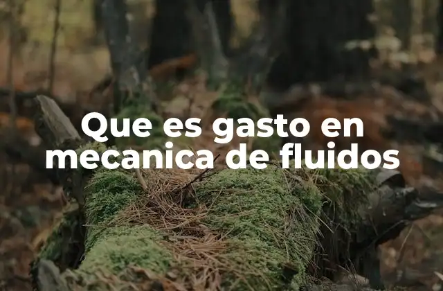 Que es Gasto en Mecanica de Fluidos