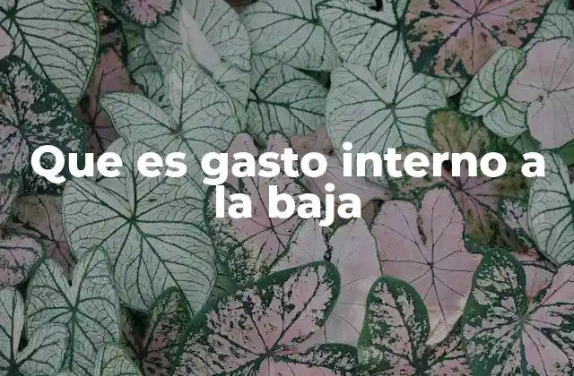 Que es Gasto Interno a la Baja