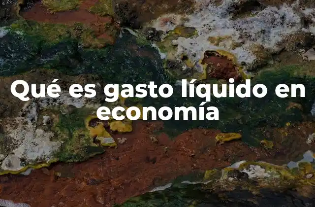 Qué es Gasto Líquido en Economía