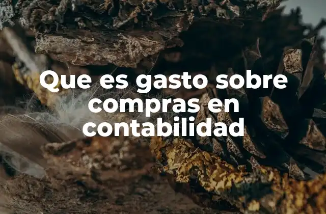 Que es Gasto sobre Compras en Contabilidad