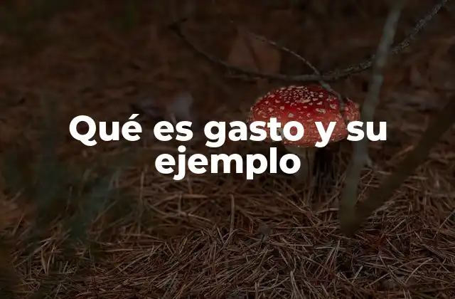 Qué es Gasto y Su Ejemplo 2 El rol del gasto en la toma de decisiones financieras