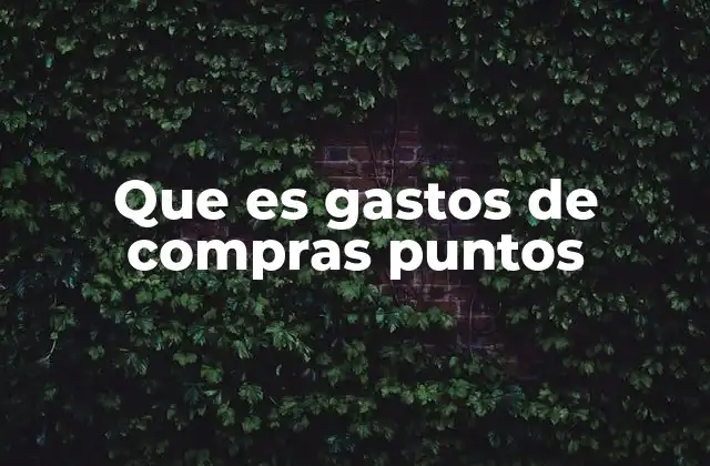 Que es Gastos de Compras Puntos