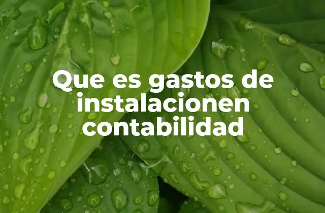 Que es Gastos de Instalacionen Contabilidad