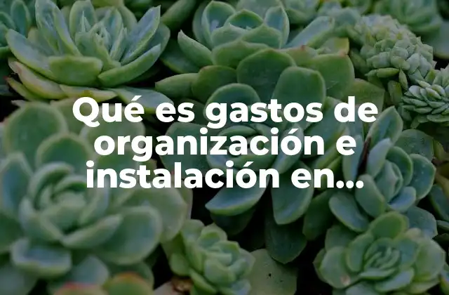 Qué es Gastos de Organización e Instalación en Contabilidad