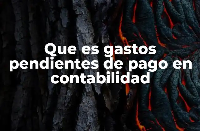 Que es Gastos Pendientes de Pago en Contabilidad