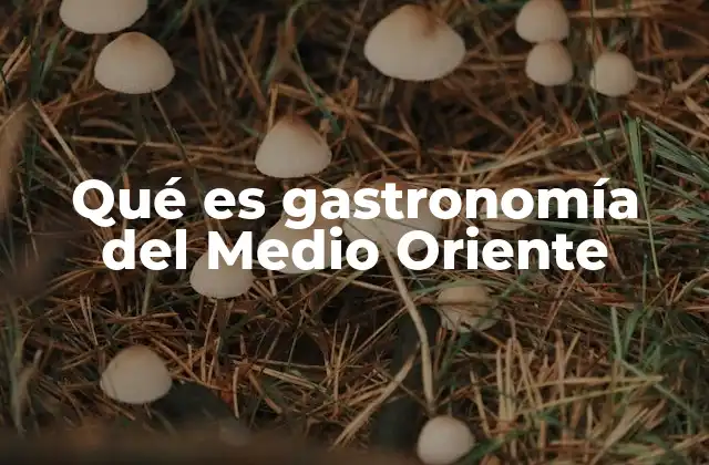 Qué es Gastronomía Del Medio Oriente