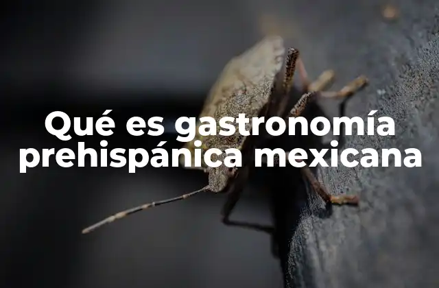 Qué es Gastronomía Prehispánica Mexicana