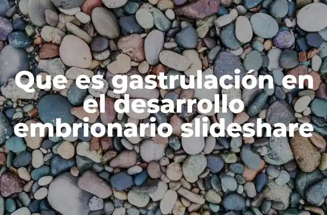Que es Gastrulación en el Desarrollo Embrionario Slideshare