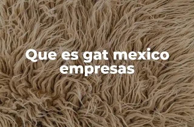 Que es Gat Mexico Empresas