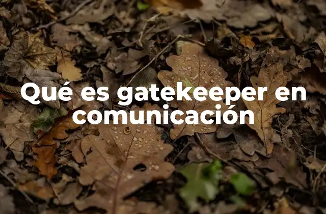 Qué es Gatekeeper en Comunicación