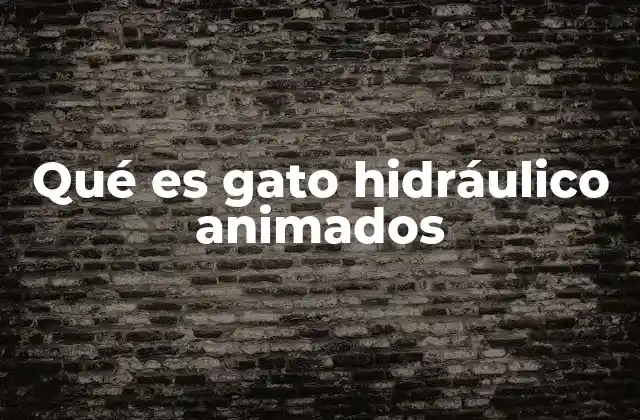 Qué es Gato Hidráulico Animados