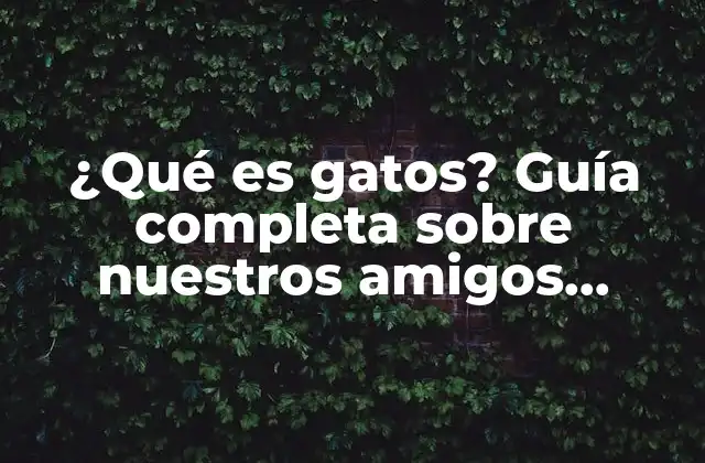 ¿qué es Gatos? Guía Completa sobre Nuestros Amigos Felinos 2 Orígenes y Evolución de los Gatos