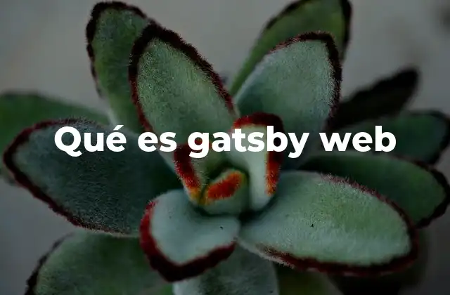 Qué es Gatsby Web