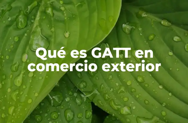 Qué es Gatt en Comercio Exterior