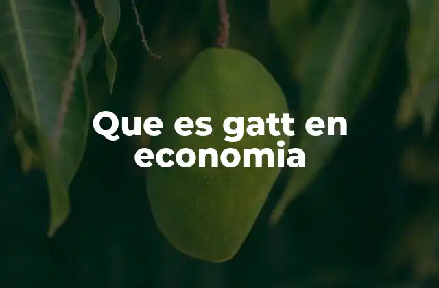 Que es Gatt en Economia