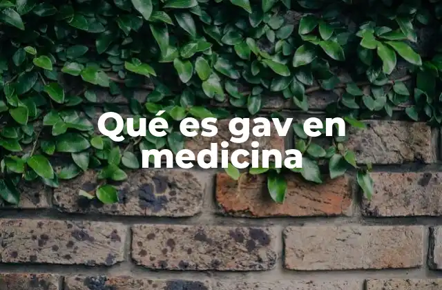 Qué es Gav en Medicina