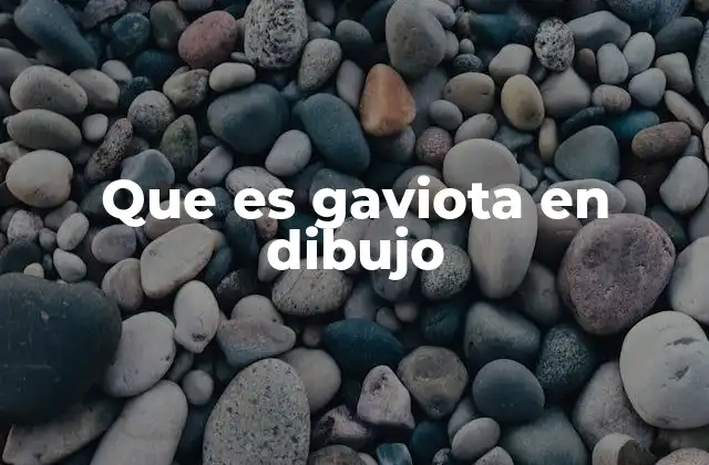 Que es Gaviota en Dibujo