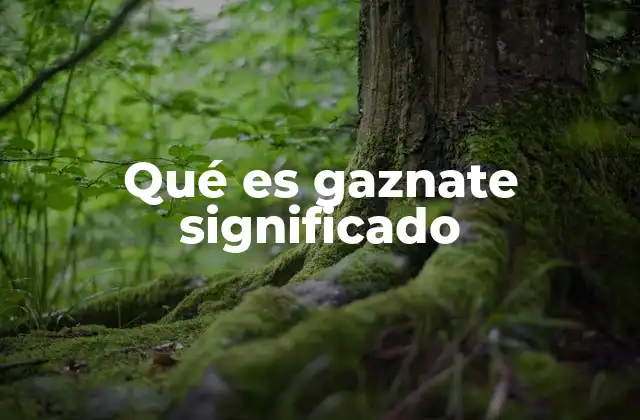 Qué es Gaznate Significado