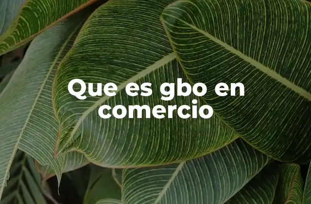 Que es Gbo en Comercio