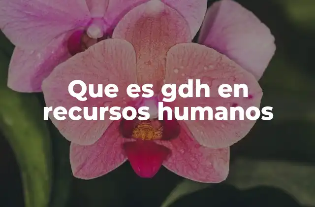 Que es Gdh en Recursos Humanos