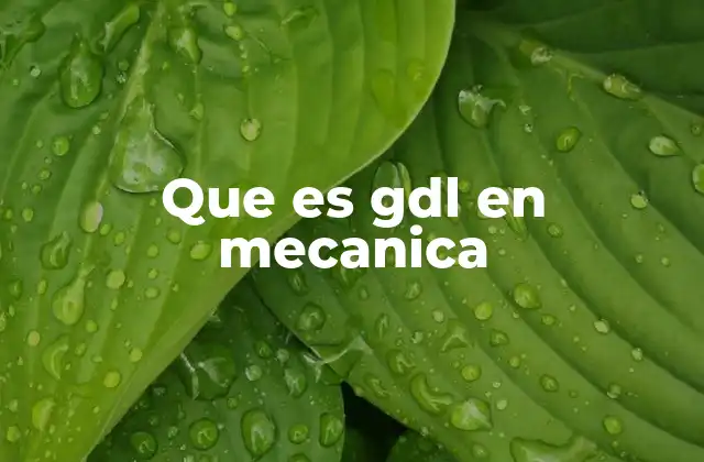 Que es Gdl en Mecanica