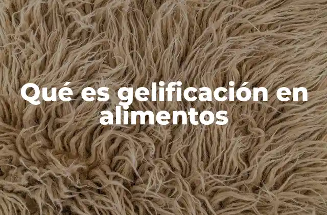 Qué es Gelificación en Alimentos 2 El papel de las moléculas en la gelificación alimentaria