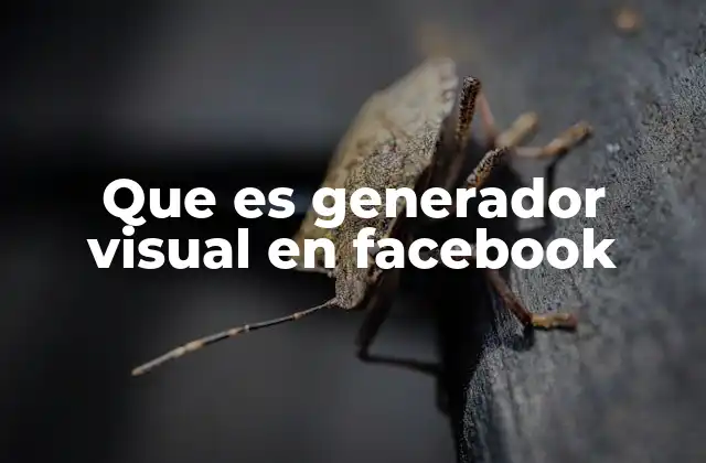 Que es Generador Visual en Facebook