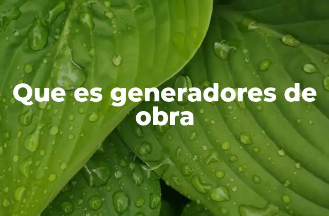 Que es Generadores de Obra