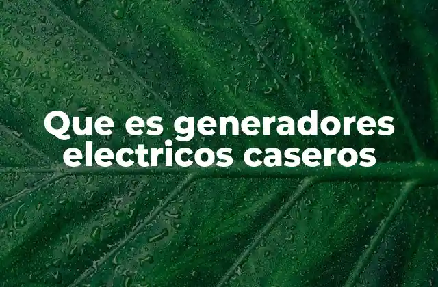 Que es Generadores Electricos Caseros